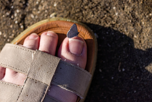 chicas dedo del pie en sandle con mariposa - Foto, Imagen