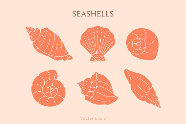 Muscheln umreißen Ikonen im trendigen Minimal-Stil. Vektorillustration einer Muschel, Schnecke, Jakobsmuschel und Auster - Vektor, Bild