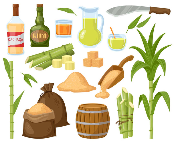 Cartoon suikerriet. Suikerriet blad planten, suikerklontjes, kristalsuiker en rum alcoholische vloeibare vector illustratie set. Natuurlijke suikerriet producten - Vector, afbeelding