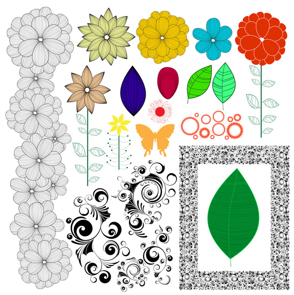 Collection of various nature theme vector elements - stylized flowers, leaves, floral ornaments, detailed floral frames. Eps 8 - Vecteur, image