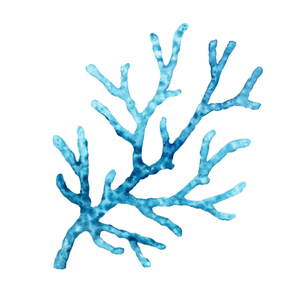 Coral azul aquarela. Planta marinha transparente isolada sobre branco. Ilustração científica realista. Design subaquático pintado à mão  - Foto, Imagem
