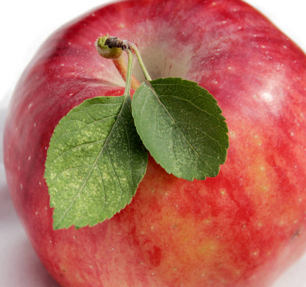 roter reifer Apfel mit grünem Blatt - Foto, Bild