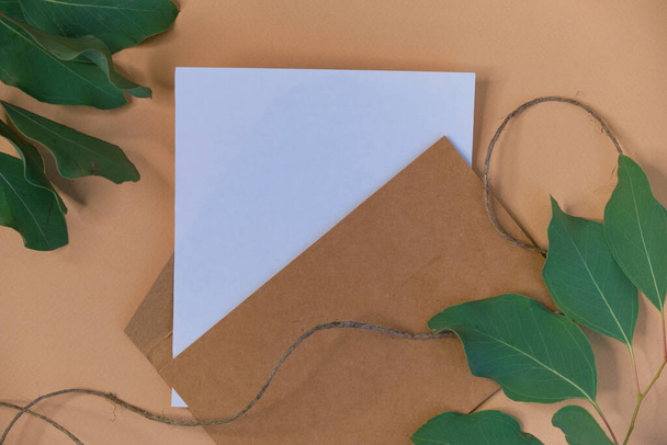 maquette de carte de vœux. Eucalyptus populus branche sur fond beige. textures papier différentesfélicitations. invitation. place pour le texte. pose plate - Photo, image