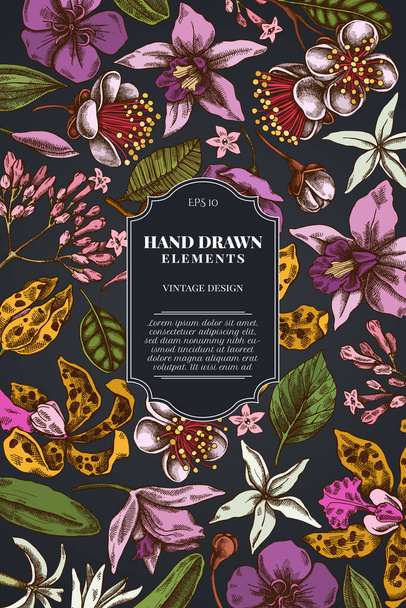 Card design on dark background with laelia, feijoa flowers, glory bush, papilio torquatus, cinchona, cattleya aclandiae - Vektor, Bild