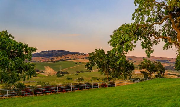 Paysage avec collines et vallées au coucher du soleil dans un vignoble au printemps dans la vallée de Napa, Californie, États-Unis - Photo, image