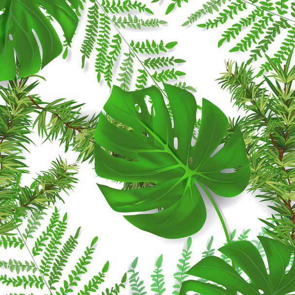 Group of plant leaf from tropical forests monstera, fern, pine leaf set in background Can be used for greeting cards, flyers, invitations, web design, to everything. - Vector, Image