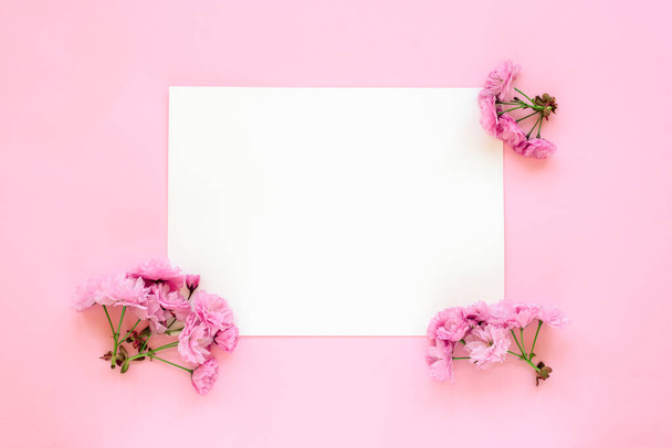 Hoja blanca en blanco y flor de cerezo sobre fondo rosa. Vista superior, plano, espacio de copia. Concepto de primavera. Prepárate. - Foto, imagen