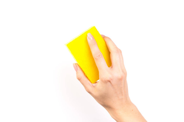 mano de mujer sostiene una esponja de limpieza aislada sobre fondo blanco - Foto, Imagen