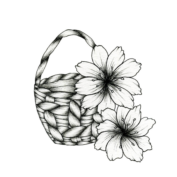 Disegno nero di un cesto con fiori isolati su bianco, disegno floreale vintage disegnato a mano, decorazione floreale rustica con cesto - Foto, immagini