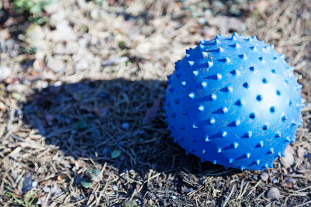 μικρή μπλε μπάλα με αιχμές που βρίσκονται στο έδαφος - Φωτογραφία, εικόνα