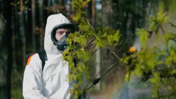 Desinfektionsarbeiter im weißen Anzug sprüht Zeckenschutzmittel - Filmmaterial, Video