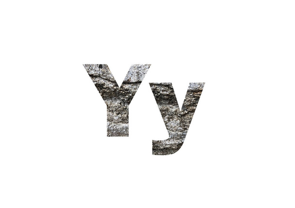 gray tree bark texture. Shot through the cut-out silhouette of the letter Y. - 写真・画像