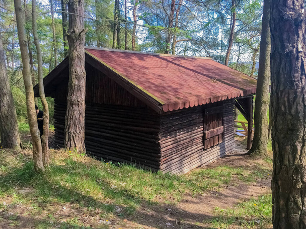 Oud houten huis in het bos. - Foto, afbeelding