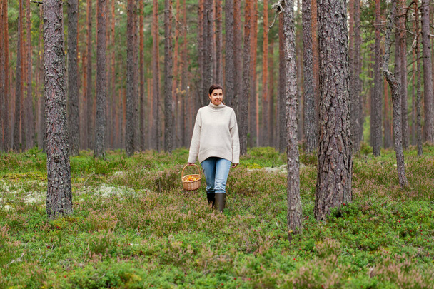 woman with basket picking mushrooms in forest - Foto, afbeelding