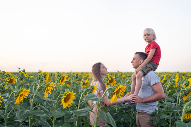Mom, dad and son on sunflower field. Child sits on dads shoulders. Family vacation. - Photo, Image