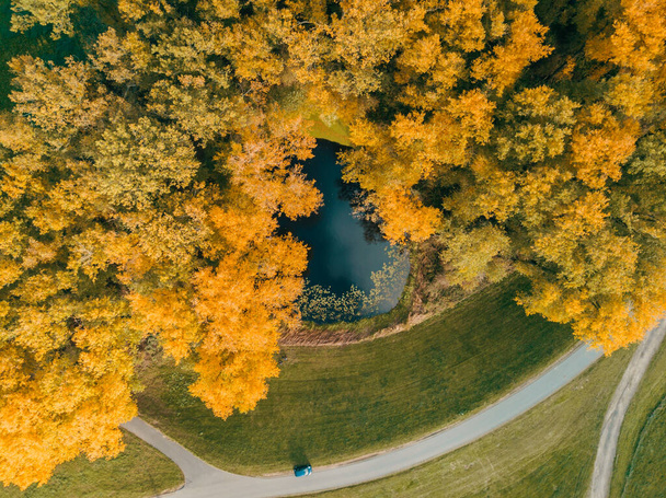Aerial drone shot of yellow color trees in the Autumn - Photo, Image