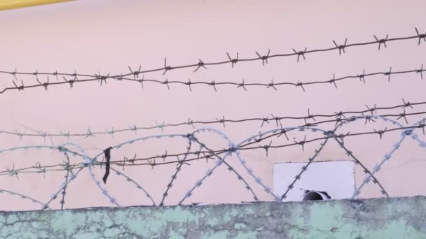 więzienny drut kolczasty nad murowanym ogrodzeniem o różową ścianę. więzienie, więzienie - Materiał filmowy, wideo