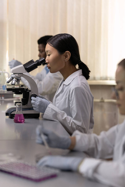 Ασιάτης νεαρός χημικός που εργάζεται με μικροσκόπιο στο τραπέζι ενώ εργάζεται στο εργαστήριο - Φωτογραφία, εικόνα