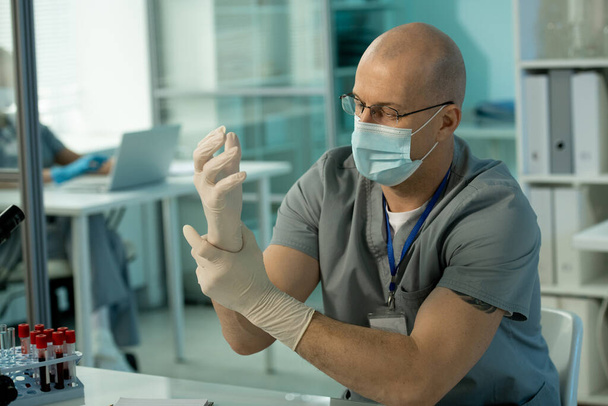 Trabajador de laboratorio calvo con máscara sentado en la mesa y poniendo guantes en las manos mientras se prepara para la investigación de análisis de sangre - Foto, Imagen