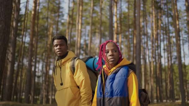 afro-americký pár pěší turistika, trekking v lese s batohy, užívají si své dobrodružství - koncept cestovního ruchu. Černoch a žena jdou na procházku. Zpomalený pohyb - Záběry, video