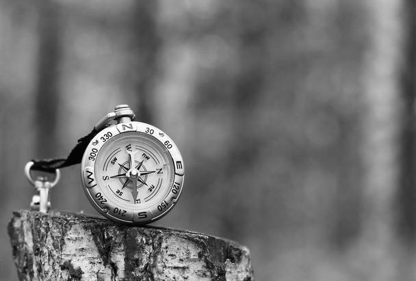 Klassischer Navigationskompass auf natürlichem Hintergrund als Symbol des Tourismus mit Kompass, Reisen mit Kompass und Outdoor-Aktivitäten mit Kompass - Foto, Bild