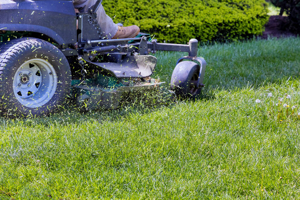 Atividade de jardinagem, cortador de grama cortando o cortador de grama conduzido no jardim ensolarado - Foto, Imagem