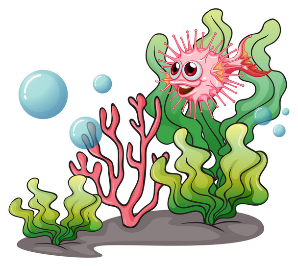 Un pez globo cerca de las algas
 - Vector, Imagen