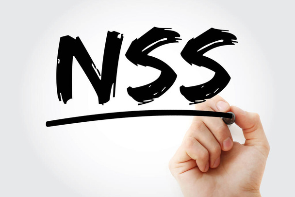 NSS - Hálózatbiztonsági szolgáltatások mozaikszó jelölővel, technológiai koncepció háttér - Fotó, kép