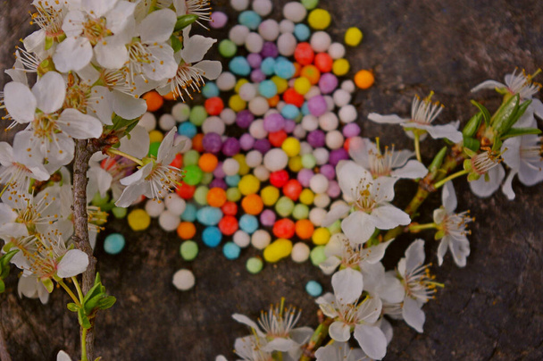 Cherry plum flowering branches against a wooden background with colorful sprinkle decorations. - Photo, Image