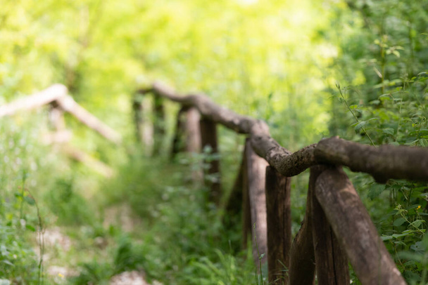 Wooden railing made of old wood. A forest path descends into a ravine. Spring forest on a sunny day. - Fotoğraf, Görsel