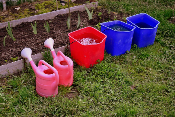 ποτιστήρια κήπου και κουβάδες με νερό στον κήπο - Φωτογραφία, εικόνα