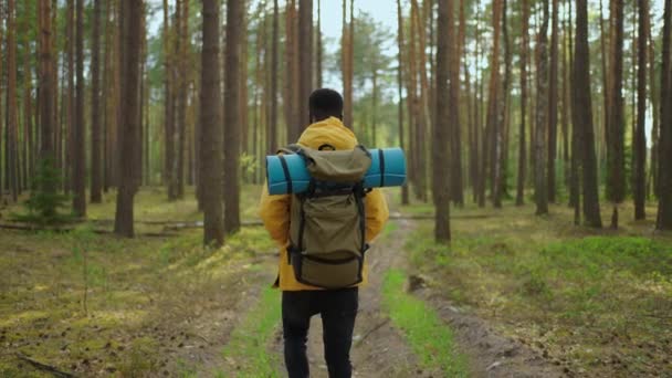 Afro-amerikai túrázó jóképű férfi turista hátizsákkal felszerelés utazik egyedül. Pozitív fekete turista fedezi fel a vad természet. - Felvétel, videó