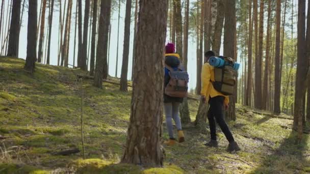 Afro-Amerikalı çift yürüyüş yapıyor, sırt çantalarıyla ormanda geziniyor, maceralarının tadını çıkarıyorlar - turizm konsepti. Siyah adam ve kadın bir yürüyüşe çıktılar. Yavaş çekim - Video, Çekim