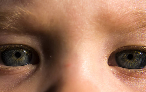 Τα μάτια ενός μικρού κοριτσιού 2 χρόνια από κοντά. - Φωτογραφία, εικόνα