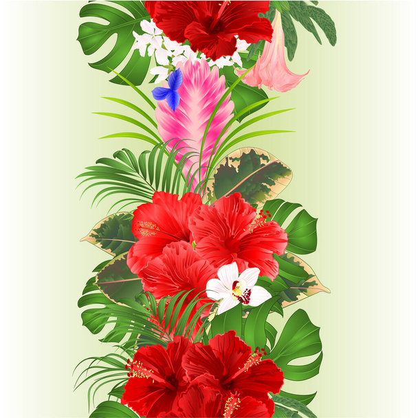 Seamless border bouquet with tropical flowers  Tillandsia cyanea and orchids cymbidium and hibiscus watercolor palm,philodendron and Brugmansia  vintage vector illustration  editable hand draw - Wektor, obraz