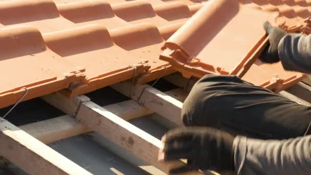 Lähikuva työntekijän kädet asentamalla keltainen keraaminen kattotiilet asennettu puulevyjen kattaa asuinrakennusten katto rakenteilla. - Materiaali, video
