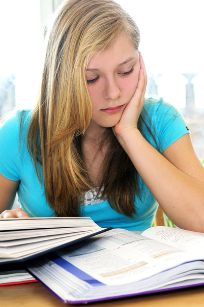 Teenage girl studying with textbooks - Foto, afbeelding