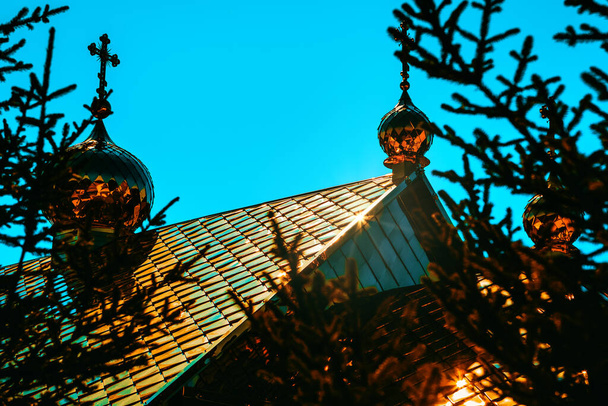 Pohled na kostelní dómy skrz větve. Zlatý kříž na vrcholu kostela  - Fotografie, Obrázek