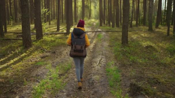 Αργή κίνηση: Νεαρή μαύρη Αφρικανή Πεζοπορία στο Δάσος το φθινόπωρο. Ενεργό υγιή Καυκάσια γυναίκα με ένα σακίδιο λαμβάνοντας σε ξύλο. Γυναίκα ταξιδιώτης με περιπάτους κατά μήκος δάσος πίσω όψη, βιο-τουρισμός - Πλάνα, βίντεο