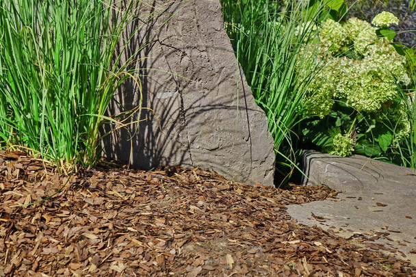 Backyard Κήπος Μοντέρνο τοπίο. Διακοσμητικό σχέδιο κήπου. Πίσω αυλή χλοοτάπητα και φυσικό Mulched σύνορα μεταξύ γρασίδι και φυτά. - Φωτογραφία, εικόνα
