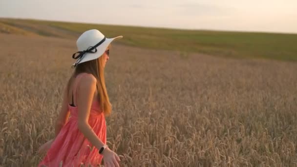 Giovane bella donna in abito estivo rosso e cappello di paglia passeggiando sul campo di fattoria gialla con grano maturo dorato godendo di sera calda. - Filmati, video
