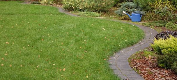 Backyard Garden Modern Design Maisemointi. Koristeellinen puutarha käämitys polku Walkway musta tiilet. Takapiha nurmikko ja luonnollinen Mulched raja ruoho ja kaareva tiili päällystys. Polku taloon. - Valokuva, kuva