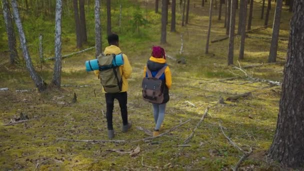 Black Couple tiene le mani a piedi verso il lago. afro-americani escursionismo, donna e uomo che apre la strada alla bella montagna nella foresta - Filmati, video