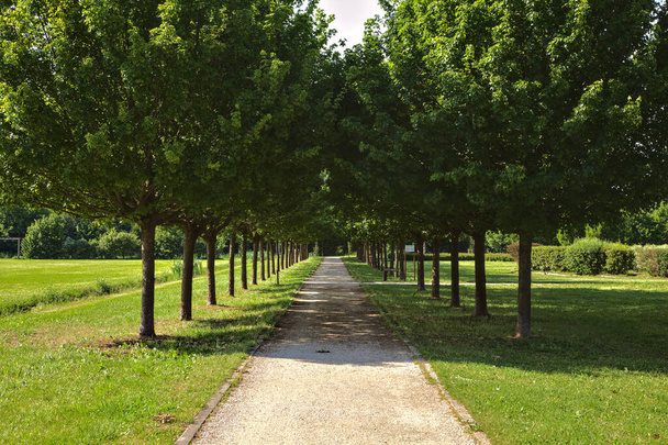 Тропа в парке, граничащем с деревьями с отбрасываемой ими тенью - Фото, изображение