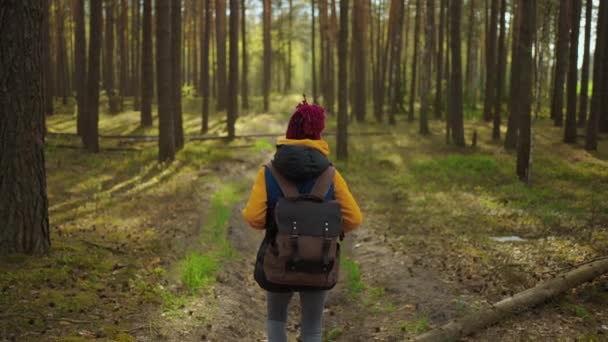 Zeitlupe: Junge Schwarzafrikanerin wandert im Herbst im Wald Aktive, gesunde Kaukasierin mit einem Rucksack, der Holz aufnimmt. Weibliche Reisende mit Spaziergängen entlang der Waldrückseite, Bio-Tourismus - Filmmaterial, Video