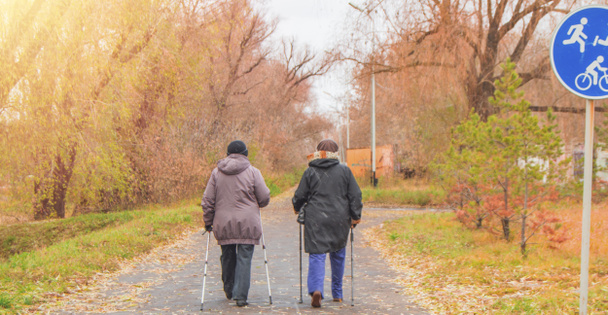 Zwei Rentnerinnen in Jacken sind in einem herbstlichen Park inmitten der Bäume mit Nordic Walking beschäftigt. Rücksicht, das Konzept des Sports im Alter. - Foto, Bild
