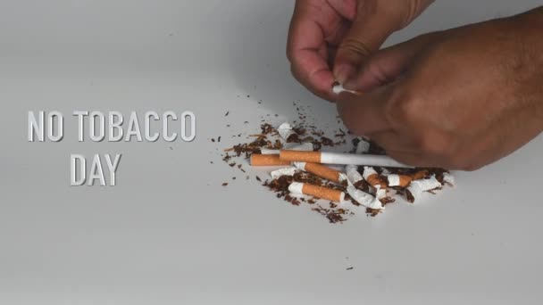 Symbol Dohányzásmentes Világnap kerül megrendezésre a világ minden évben május 31-én. Célja, hogy világszerte 24 órán keresztül támogassa a dohányfogyasztás valamennyi formájának tartózkodását. Fehér homályos háttér - Felvétel, videó