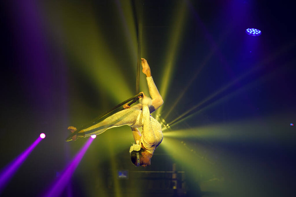 Flexibilní samice akrobat, aby výkon vzhůru nohama na letecké obruče podsvícené žlutá a fialová světla. - Fotografie, Obrázek
