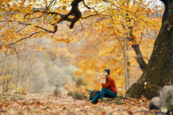 bela mulher em uma camisola jeans senta-se nas folhas perto de uma árvore paisagem outono parque floresta - Foto, Imagem