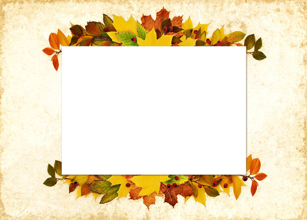 Autumn leaves and berries in a line arrangements with card on old grunge background. Flat lay. Top view. - Photo, image